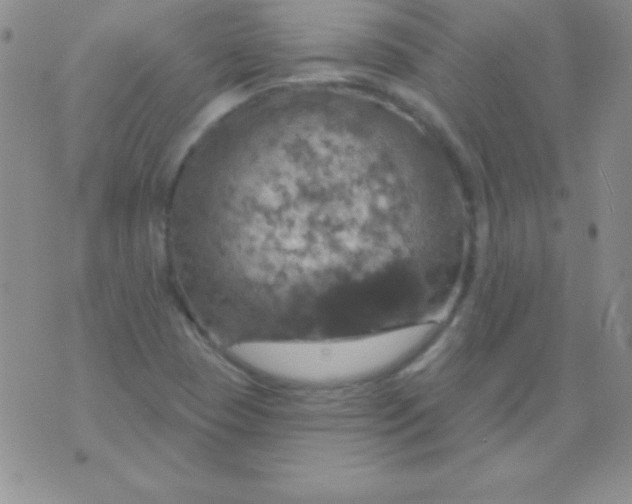 X0000075901409200610062106