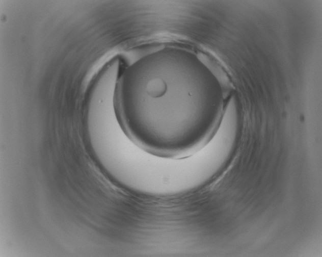 X0000075901410200610062106