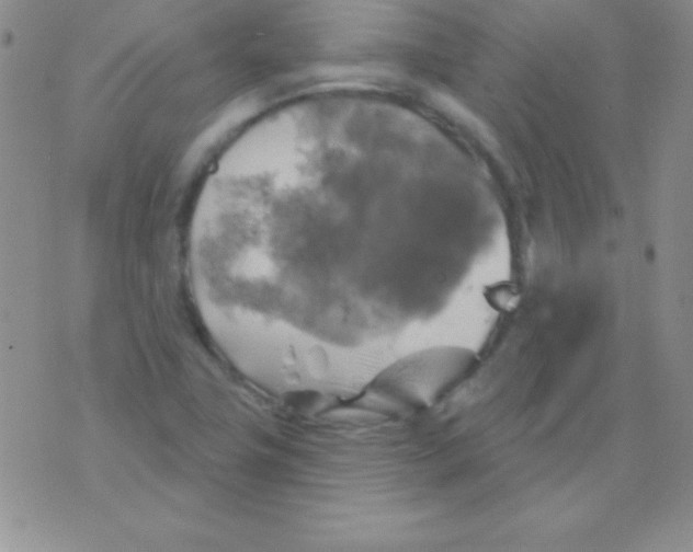 X0000075901411200610062106