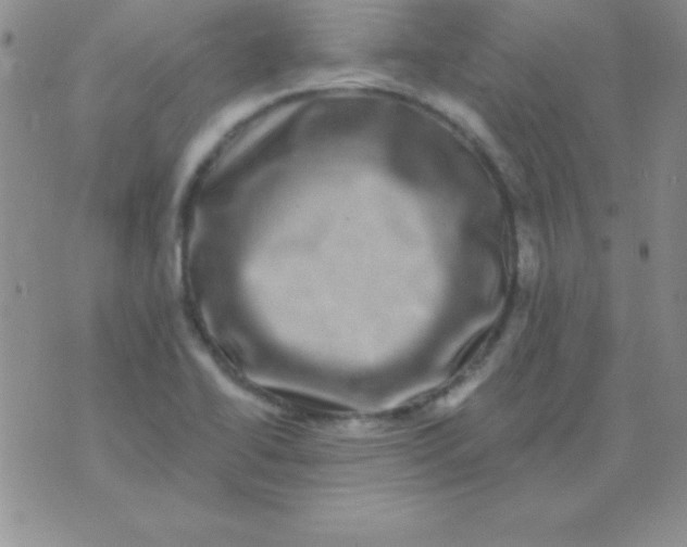 X0000075901414200610062106