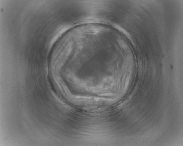 X0000075901415200610062106