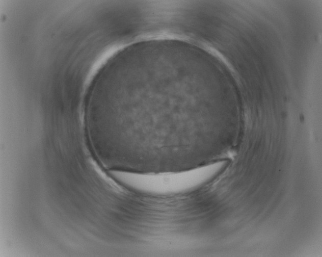 X0000075901416200610062106