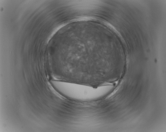 X0000075901417200610062106