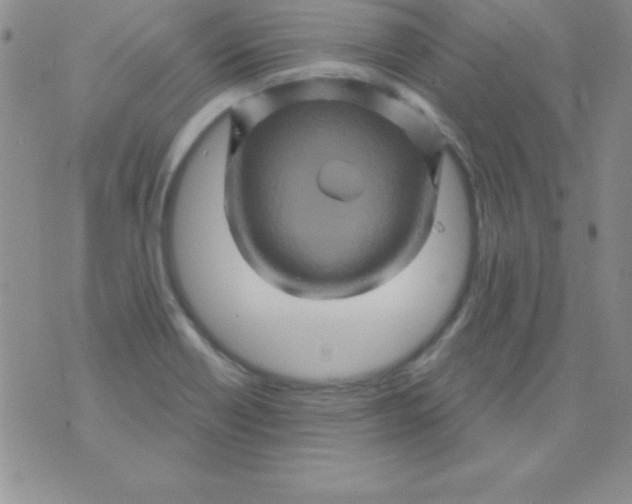 X0000075901418200610062106