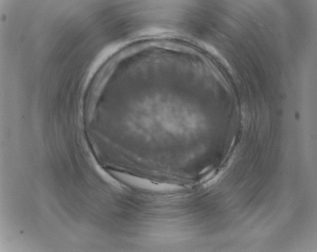 X0000075901421200610062106