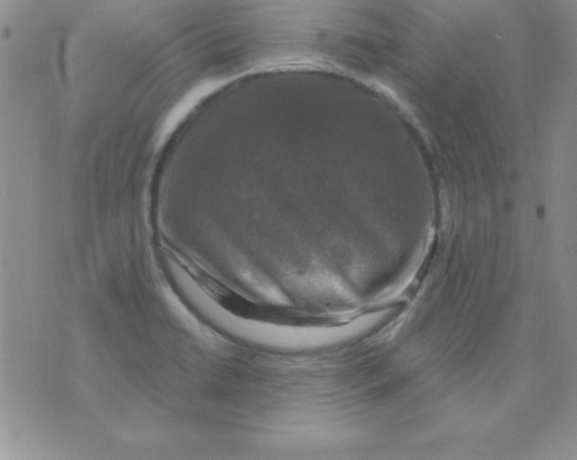 X0000075901422200610062106