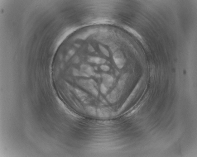 X0000075901423200610062106