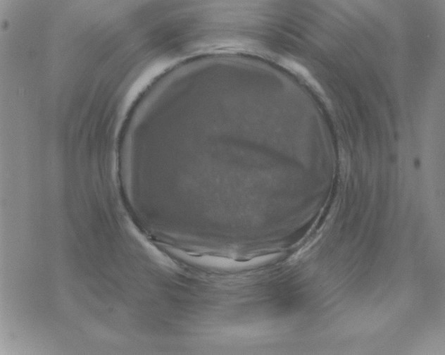 X0000075901424200610062106