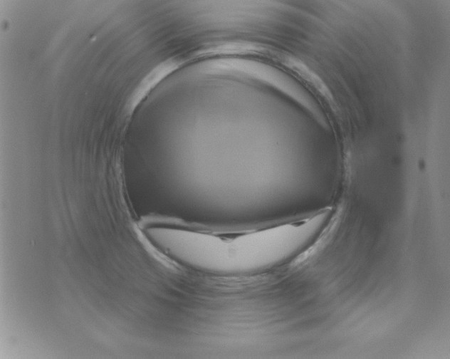 X0000075901425200610062106