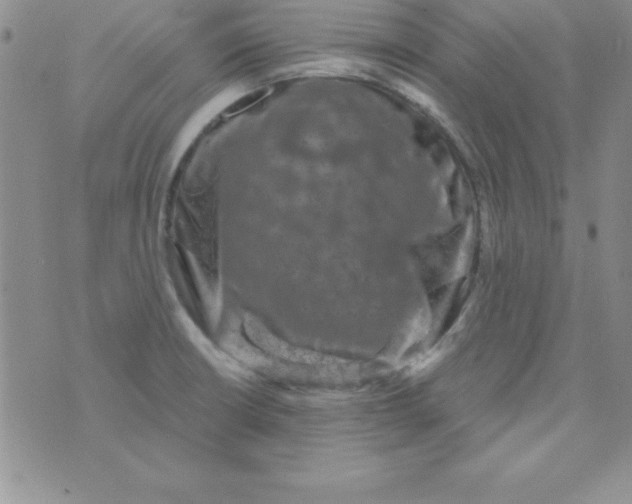 X0000075901426200610062106