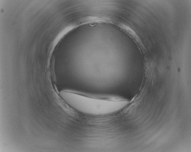 X0000075901427200610062106