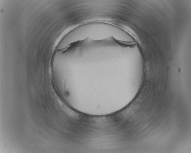 X0000075901428200610062106