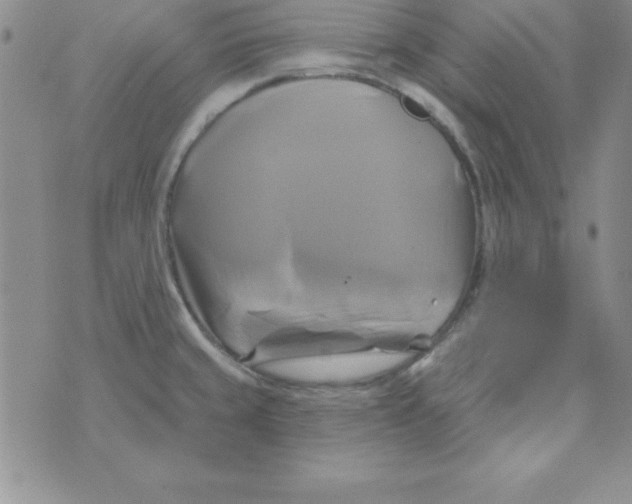 X0000075901429200610062106