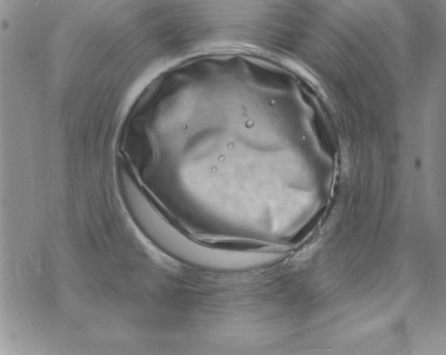 X0000075901430200610062106