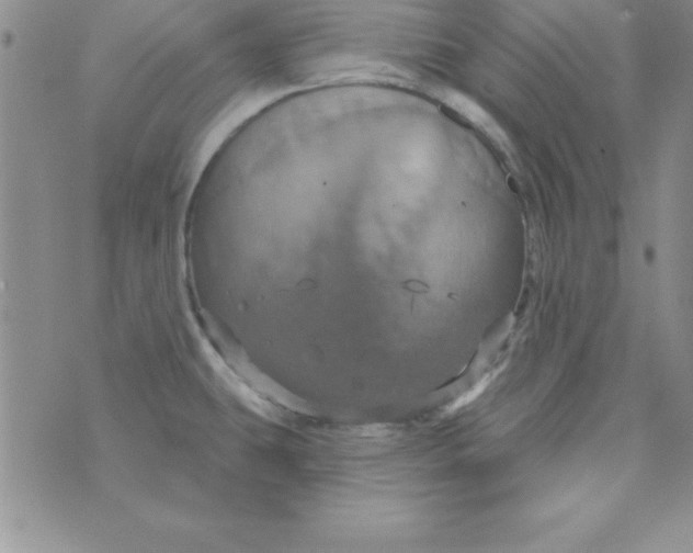 X0000075901431200610062106