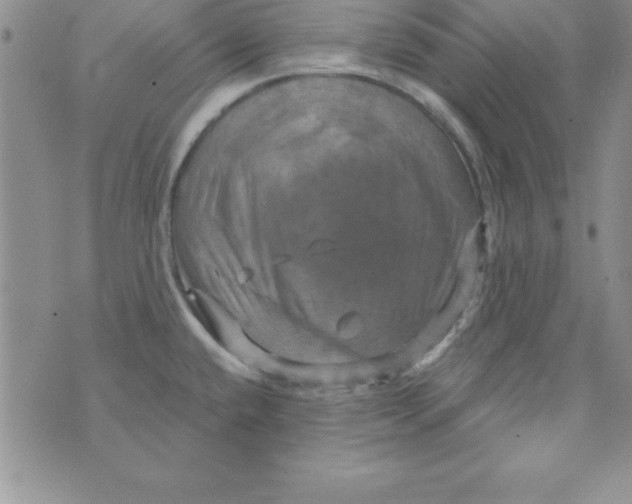 X0000075901432200610062106