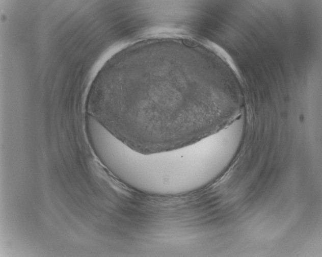 X0000075901435200610062107