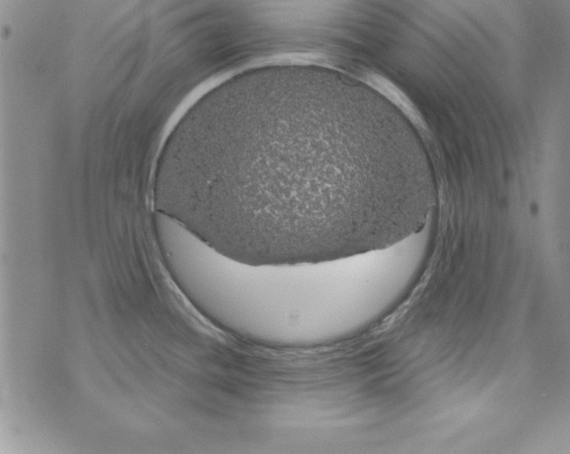 X0000075901436200610062107