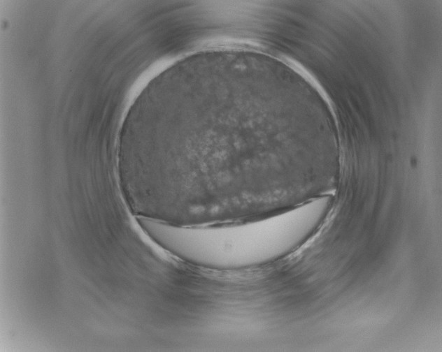 X0000075901437200610062107