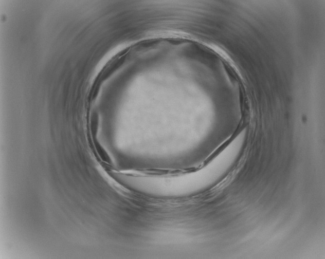 X0000075901438200610062107