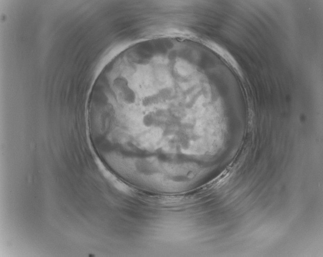 X0000075901439200610062107