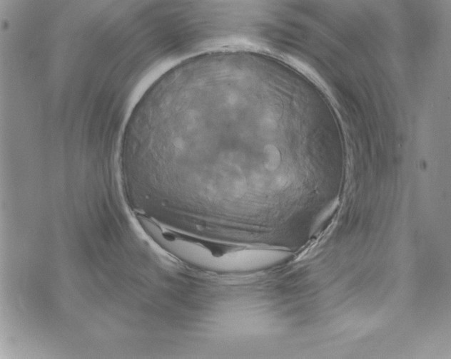 X0000075901440200610062107