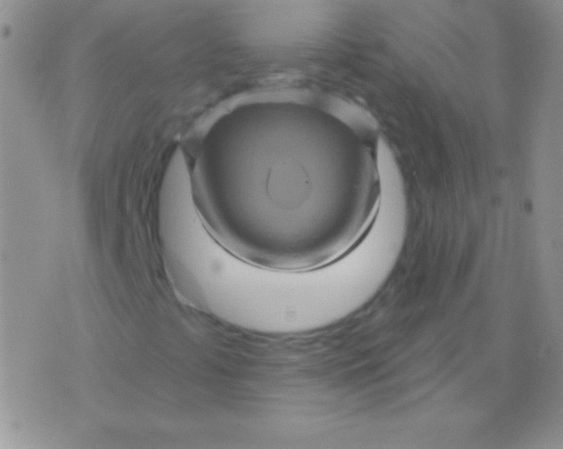 X0000075901441200610062106