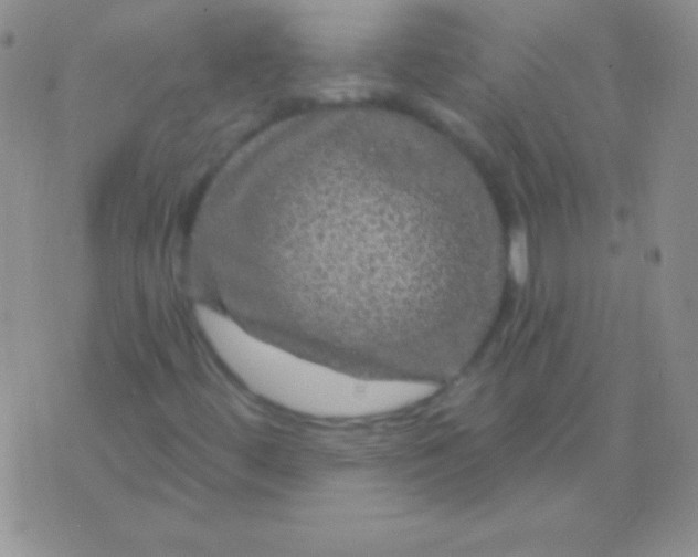 X0000075901444200610062106