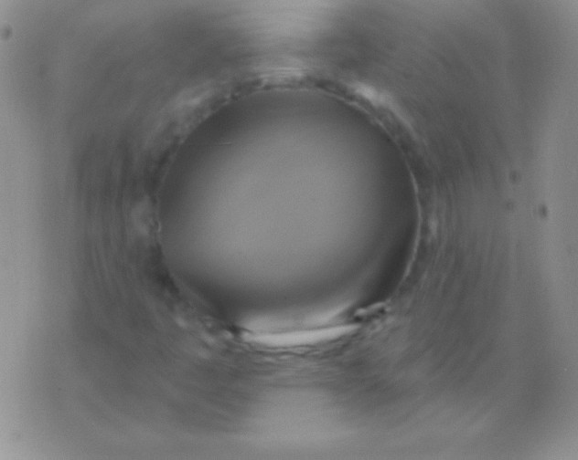 X0000075901445200610062106