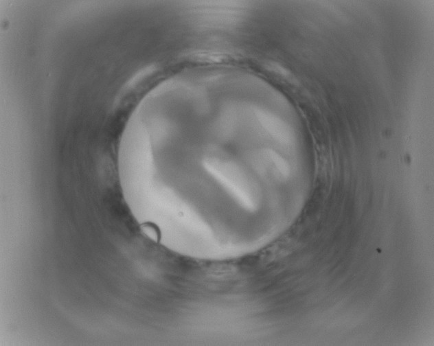 X0000075901446200610062106