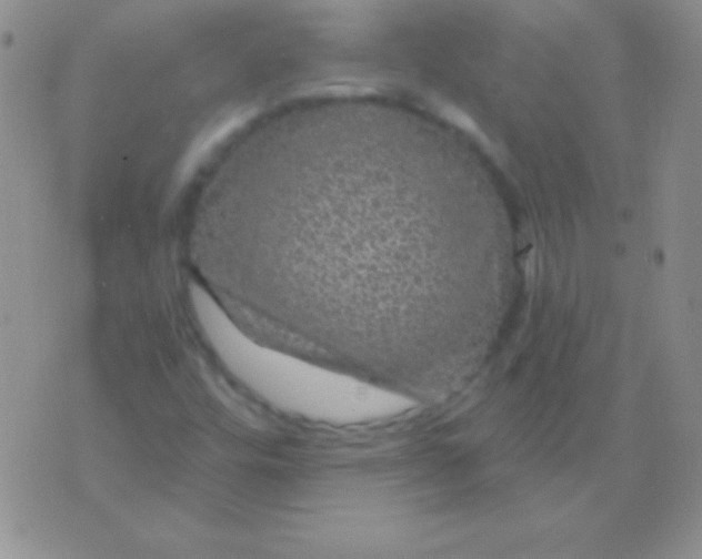 X0000075901448200610062106