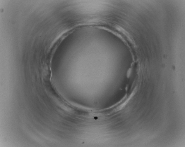 X0000075901449200610062106