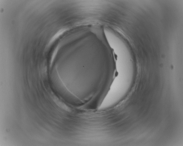 X0000075901450200610062106