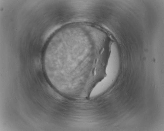 X0000075901452200610062106