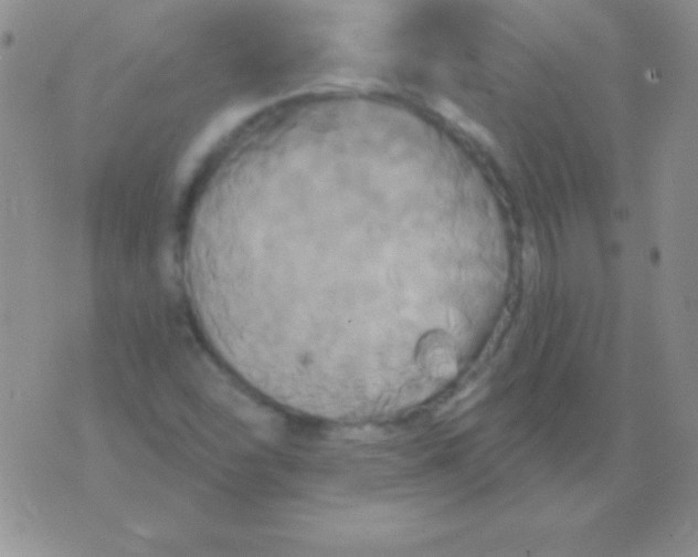 X0000075901454200610062106