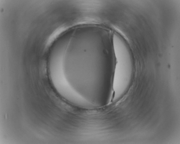 X0000075901455200610062106