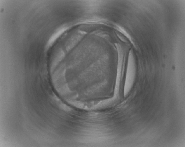 X0000075901456200610062106