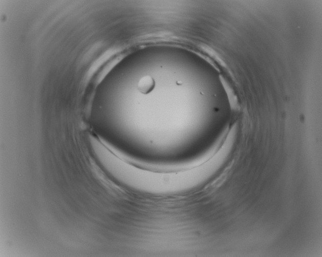 X0000075901458200610062106