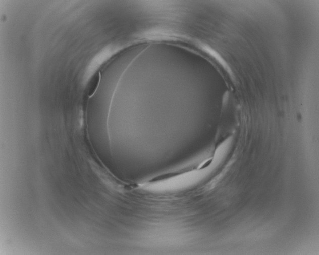 X0000075901461200610062106