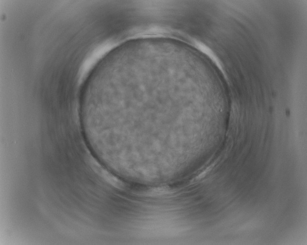 X0000075901464200610062105