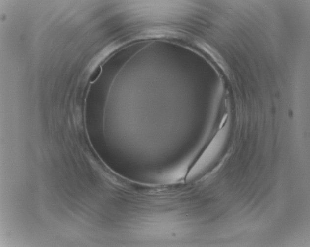 X0000075901465200610062105