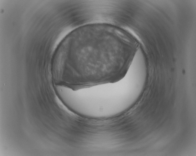 X0000075901468200610062105