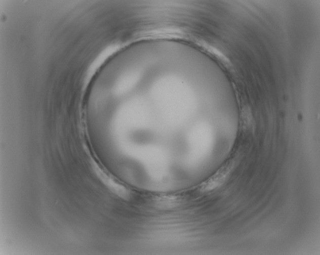 X0000075901470200610062105