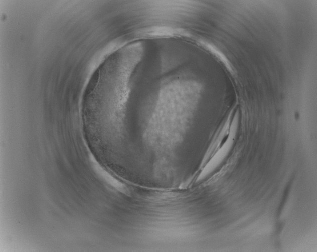 X0000075901475200610062105