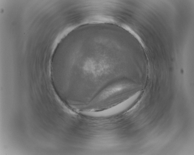 X0000075901477200610062105