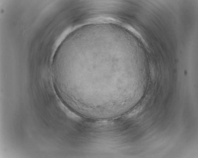 X0000075901478200610062105