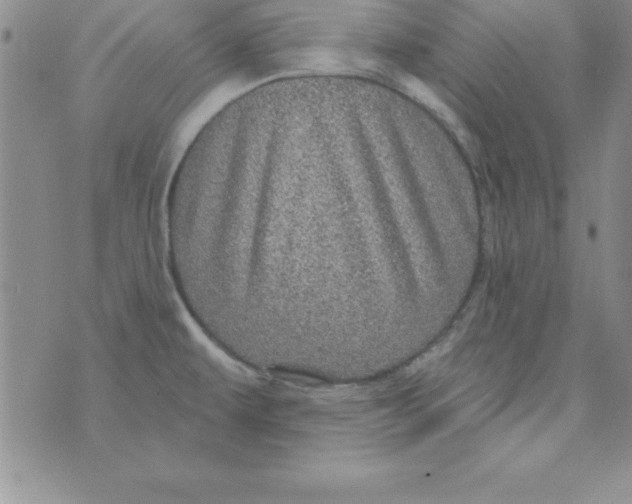 X0000075901479200610062105