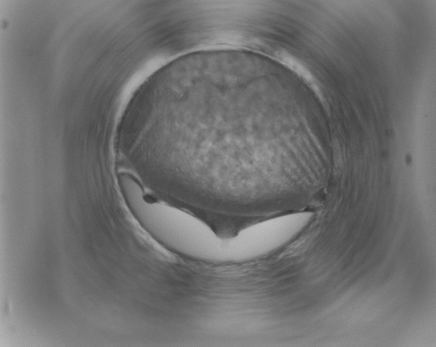 X0000075901480200610062105