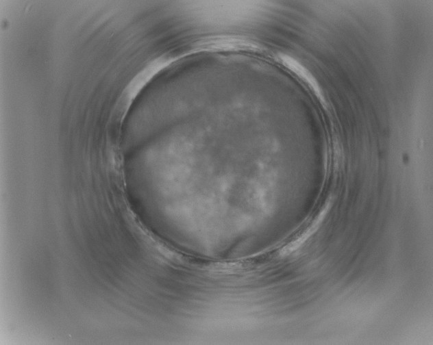 X0000075901481200610062105