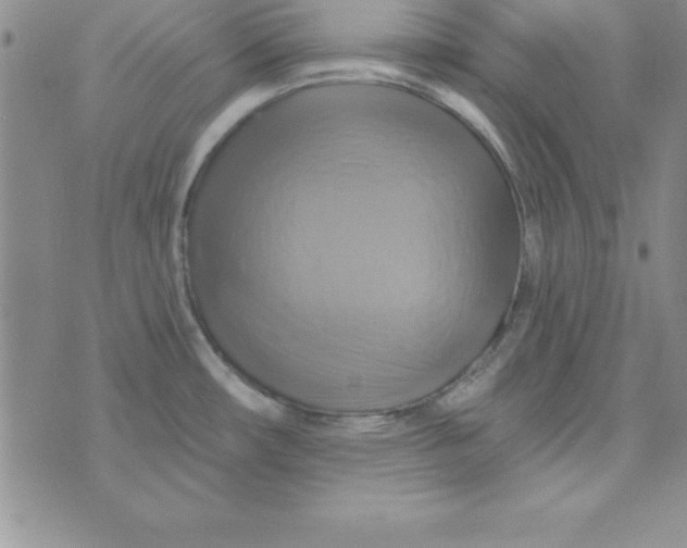 X0000075901482200610062105